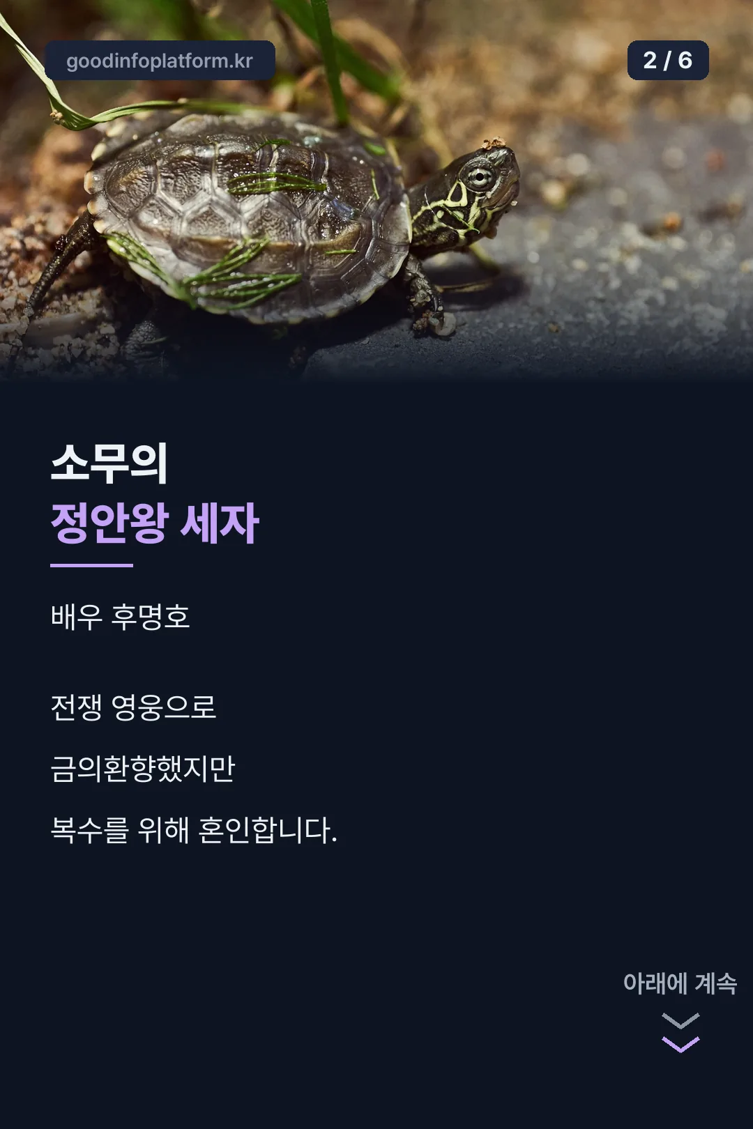 소무의 소개