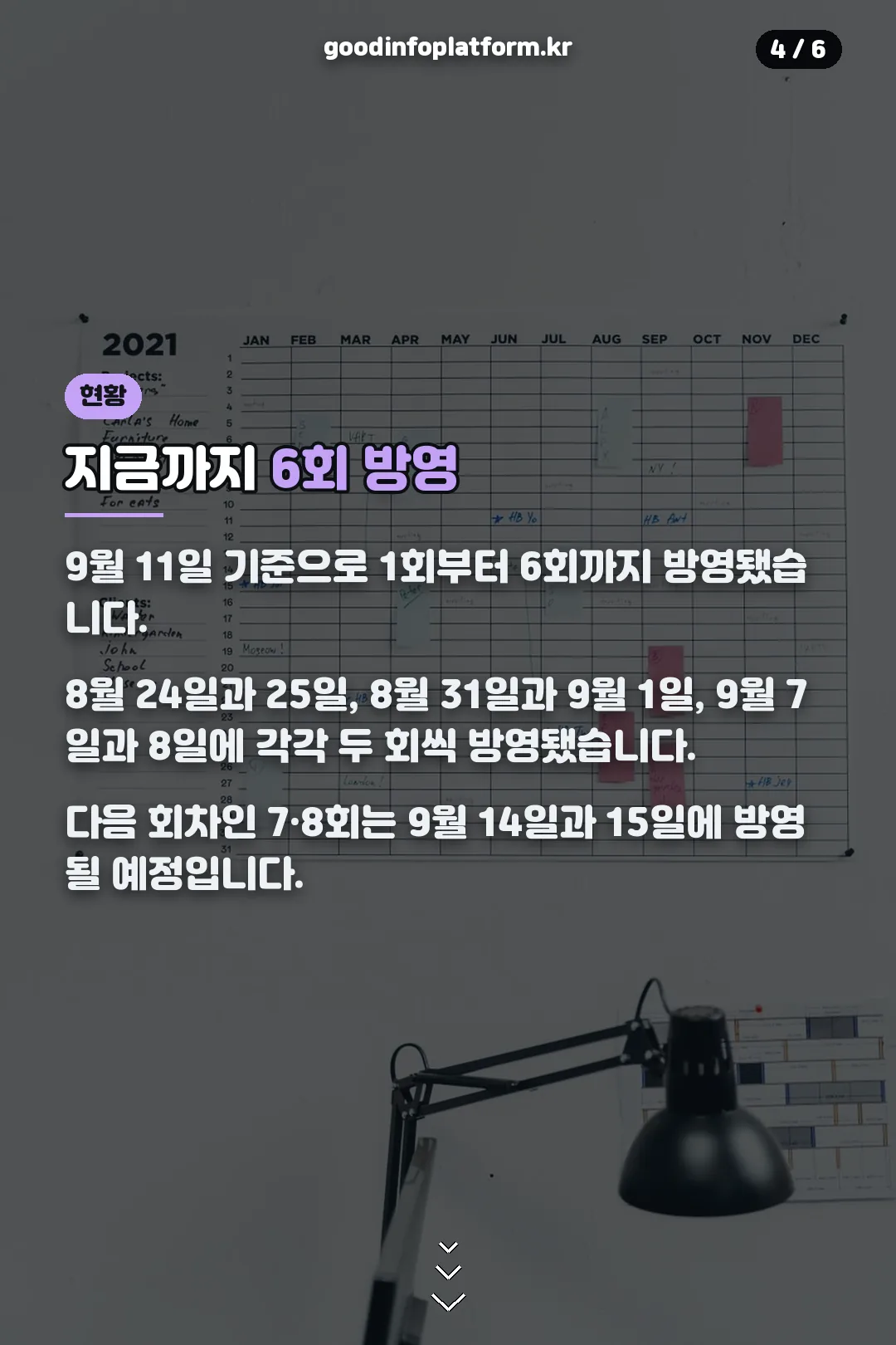 방영 현황 안내
