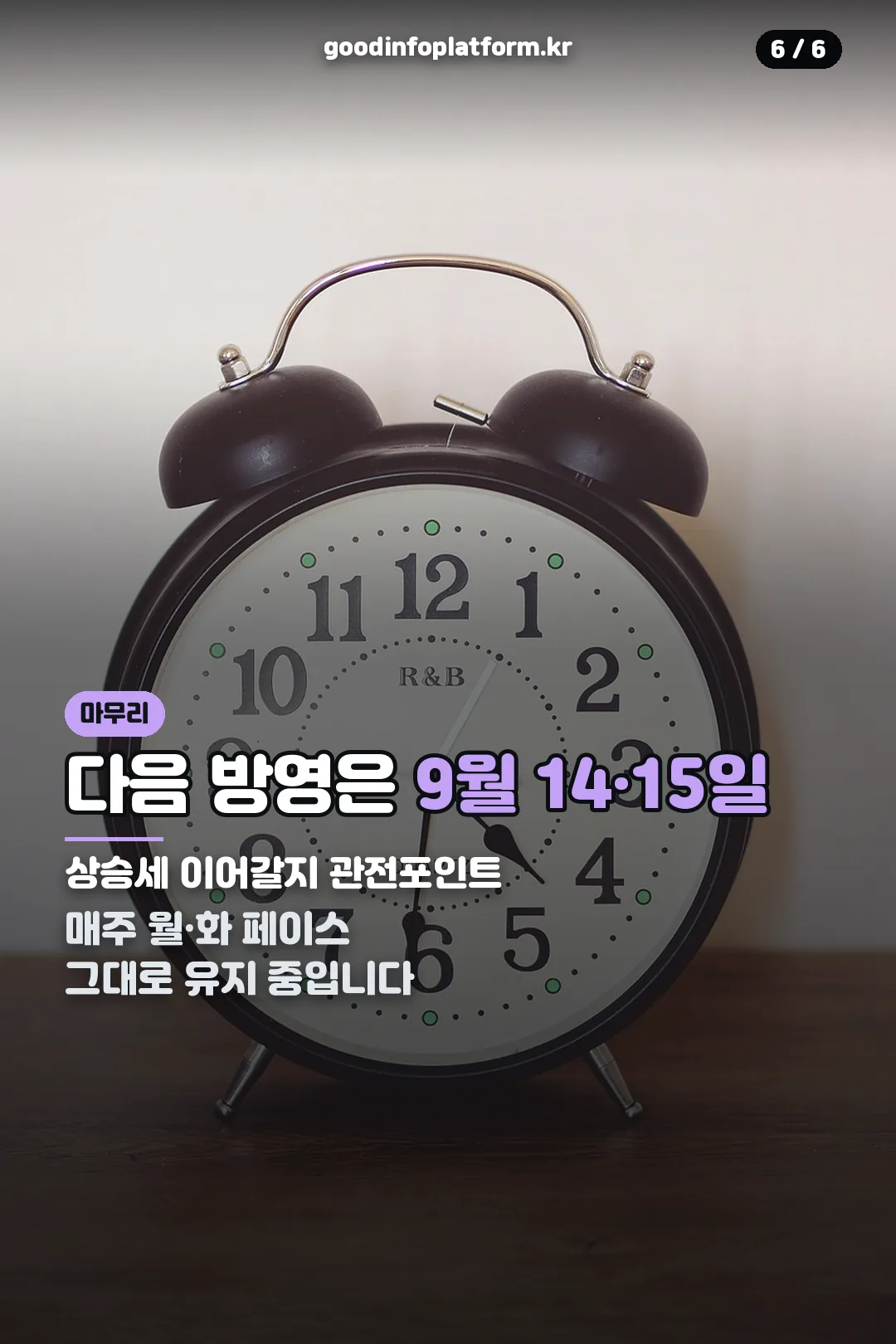 다음 방영일 안내