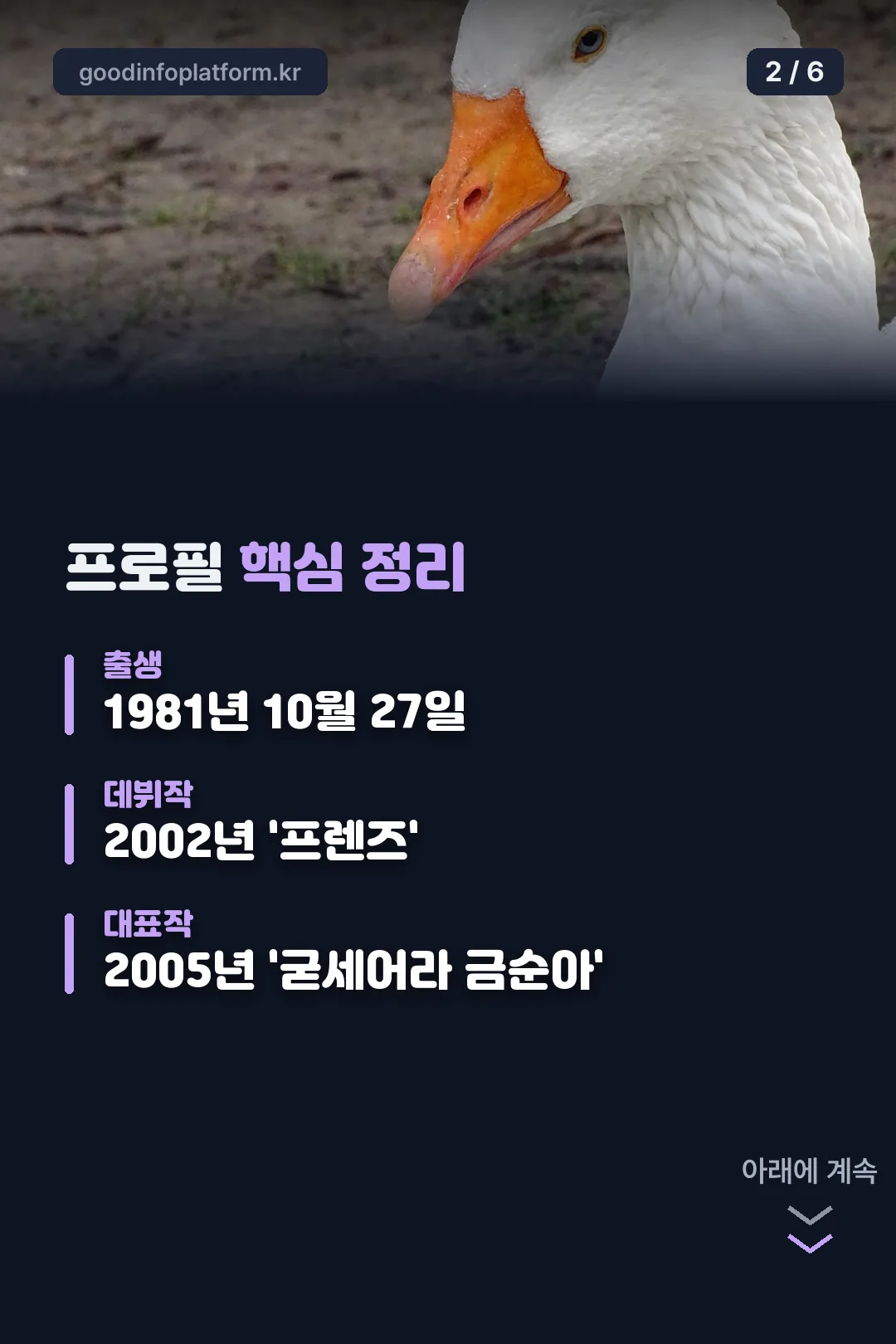 프로필 핵심 정리