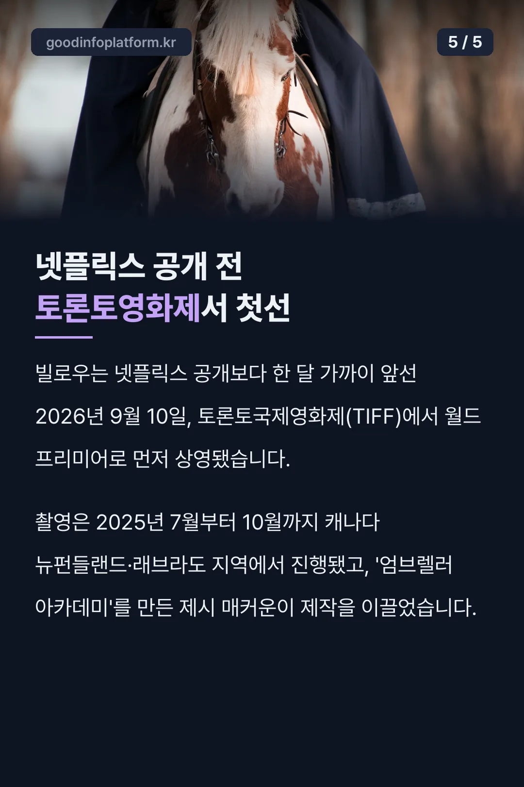 토론토영화제 TIFF 사전공개