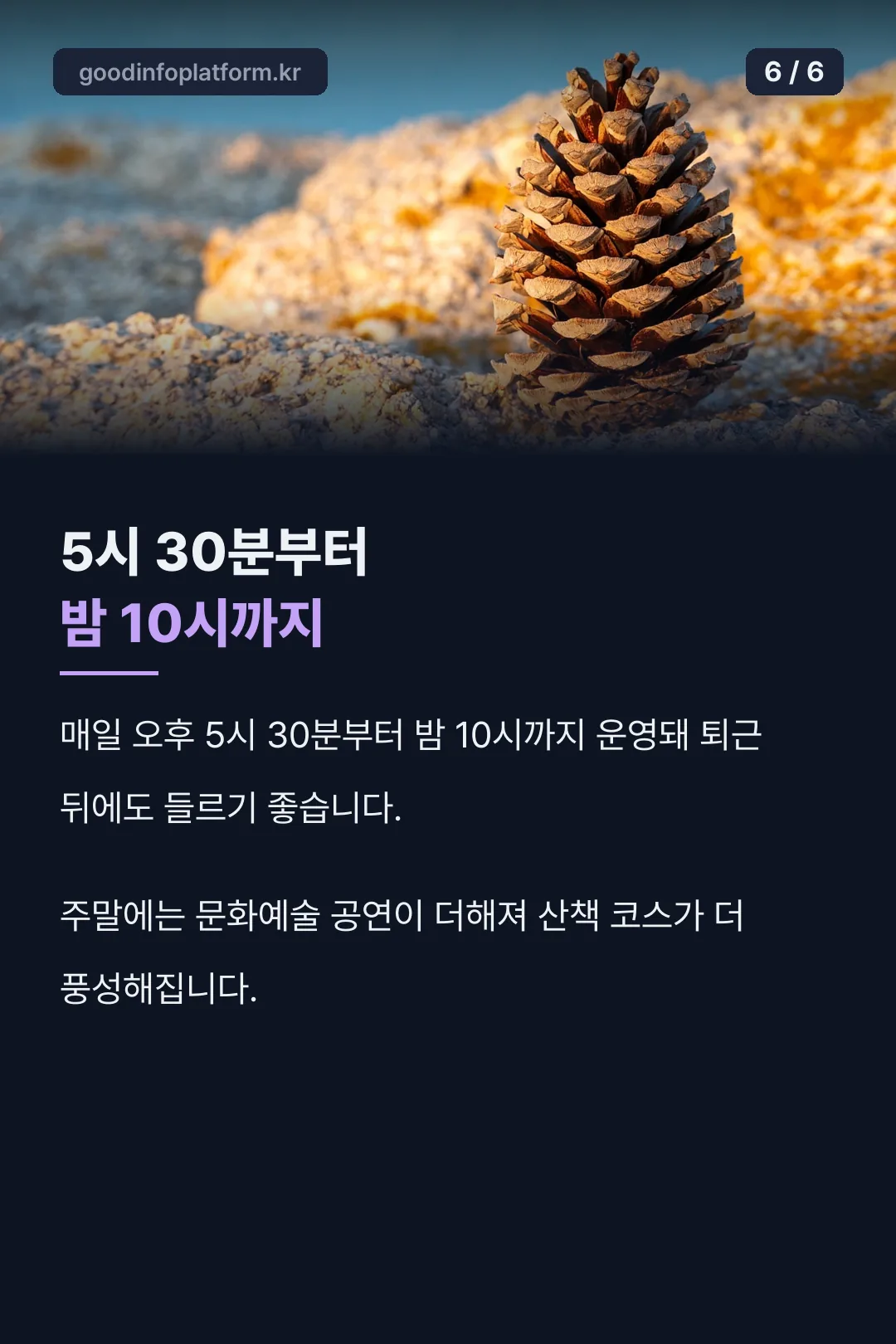 운영 시간 안내