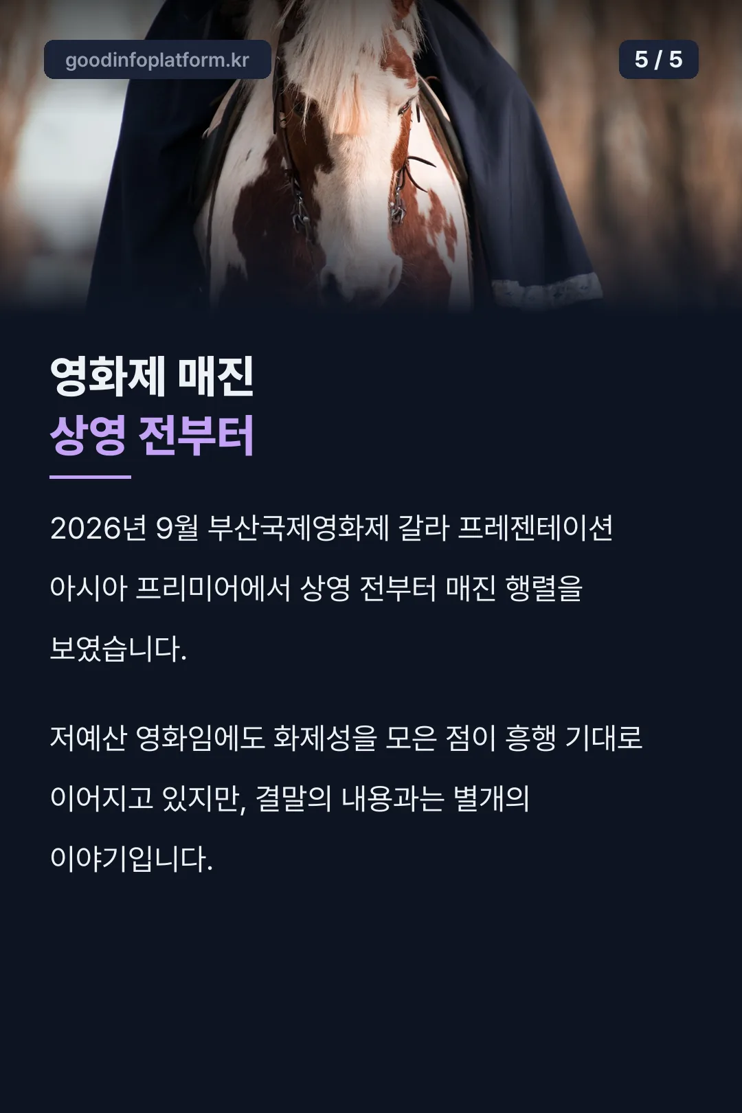 영화제 매진 상영 전부터
